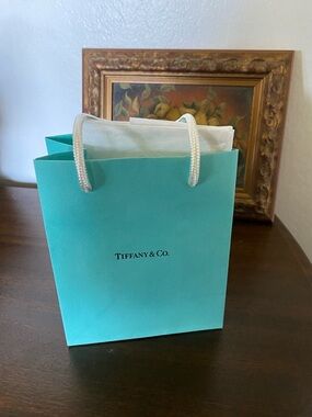 Tiffany & Co. Gift Bag with White Rope Handles
